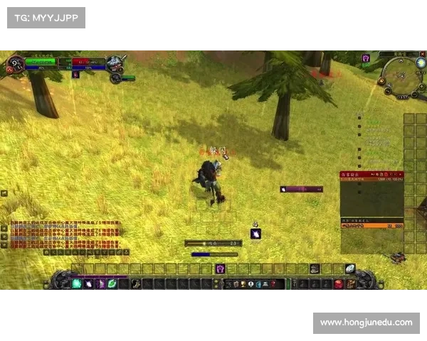 新手入门:玩转魔兽世界 新手入门:玩转魔兽世界