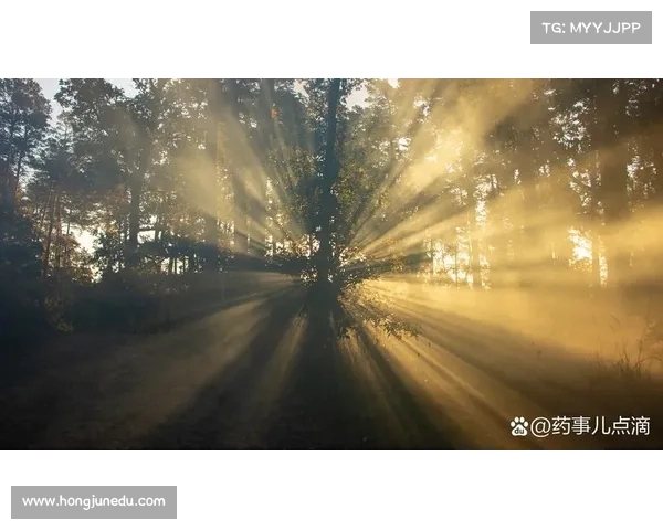 治疗看灯光晕的有效方法 治疗看灯光晕的有效方法