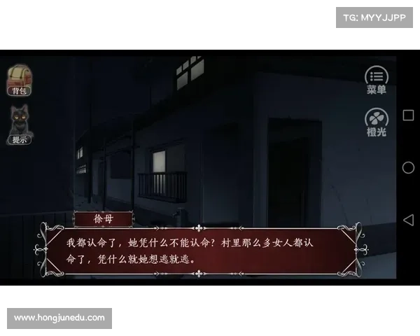 解密皇城深宫,揭秘秘史奇谈:庄秘闻攻略指南 解密皇城深宫,揭秘秘史奇谈:庄秘闻攻略指南