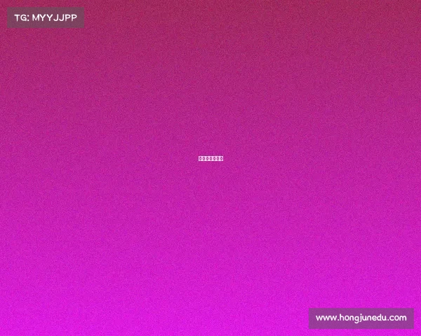 七彩虹网络科技